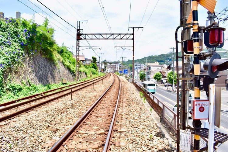 頼朝の画像
