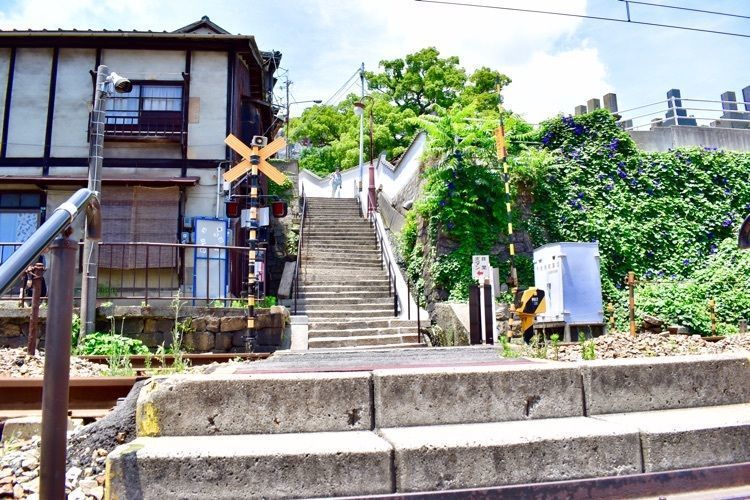 頼朝の画像
