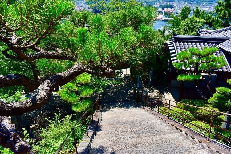 頼朝の画像