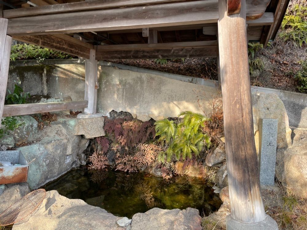 みーなさんが投稿した黒滝山（広島県竹原市）に関する口コミの画像