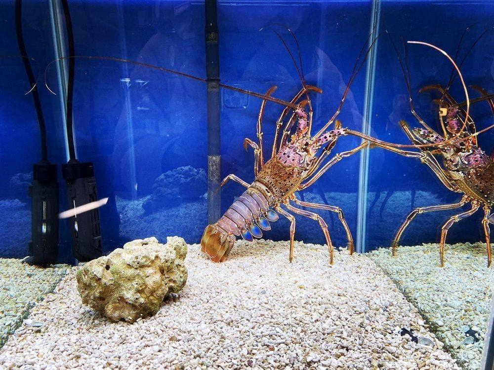hirokororinさんが投稿した深層水ミュージアムに関する口コミの画像