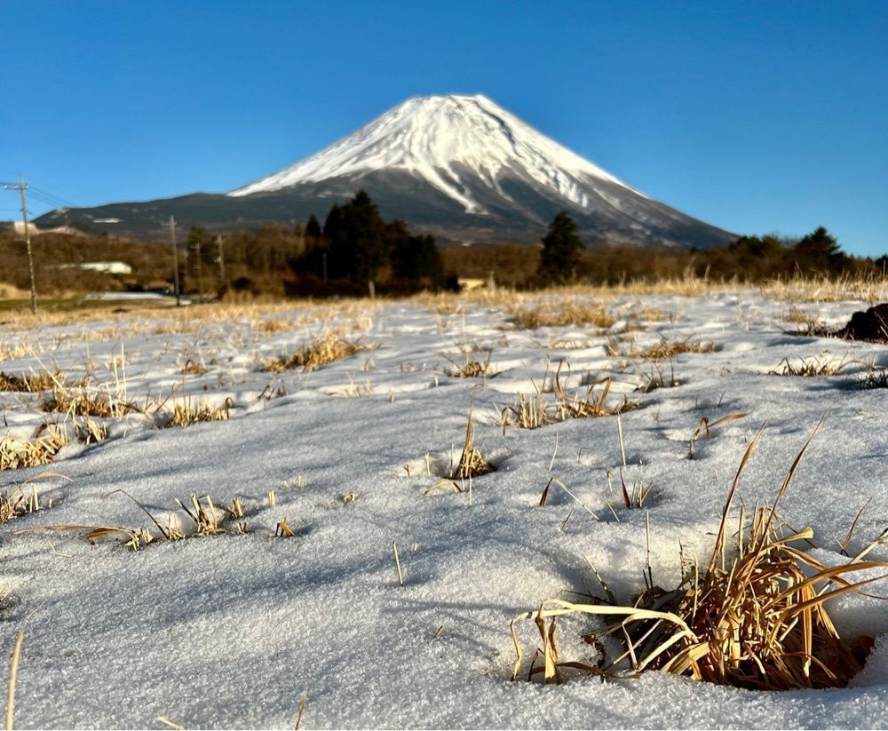 ビンカさんが投稿した朝霧高原イーハトーブの森に関する口コミの画像