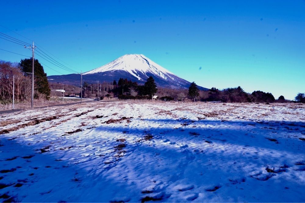 ビンカさんが投稿した朝霧高原イーハトーブの森に関する口コミの画像