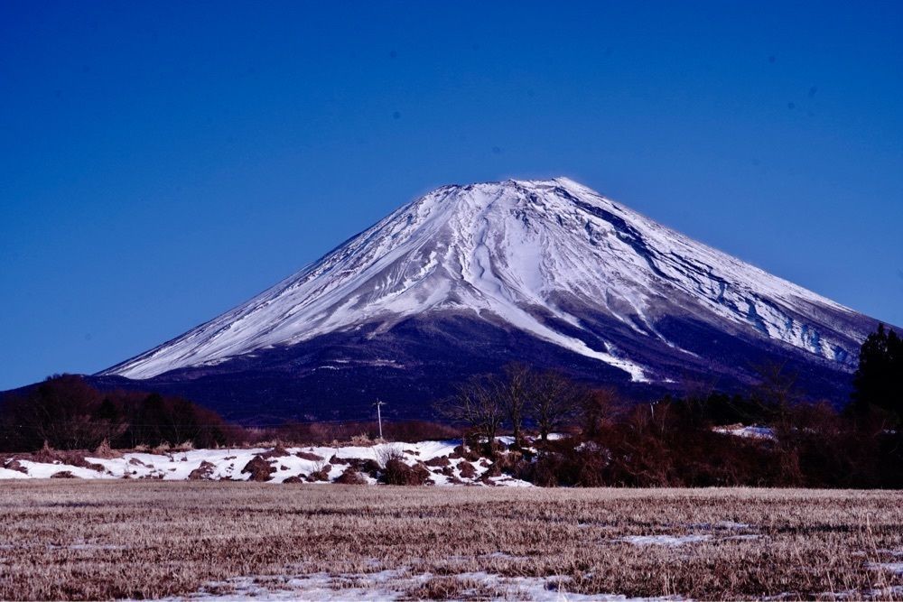 ビンカさんが投稿した朝霧高原イーハトーブの森に関する口コミの画像