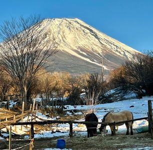 22最新 河口湖のおすすめ人気定食 食堂top30 Aumo アウモ