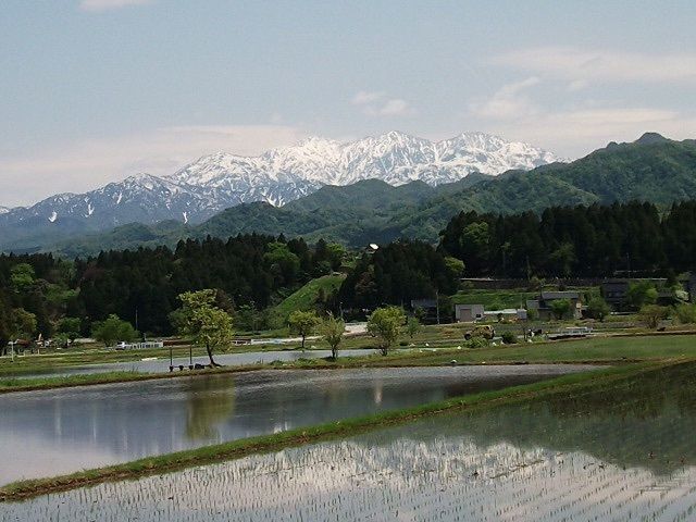 からっ風②さんが投稿したベストイン 魚津（BESTiNN）に関する口コミの画像