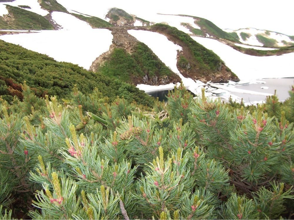 からっ風②さんが投稿したレストラン立山に関する口コミの画像