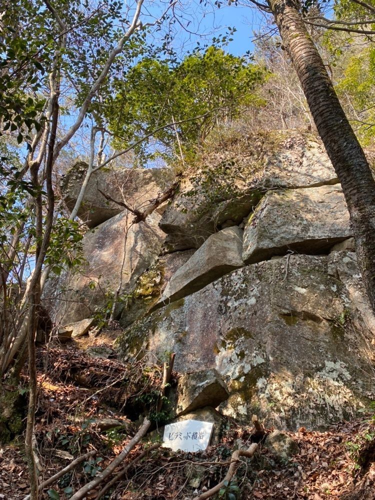 あるふぃすたさんが投稿した蛇の池に関する口コミの画像