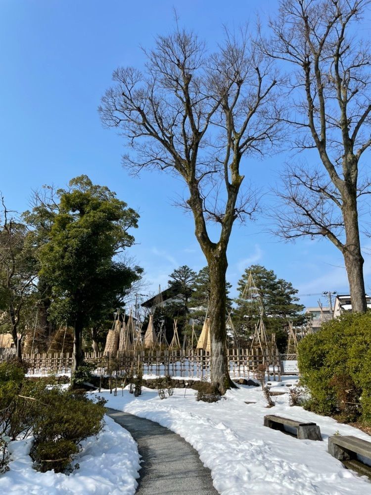 らぐ🏉🍺ビアさんが投稿した彦三緑地に関する口コミの画像