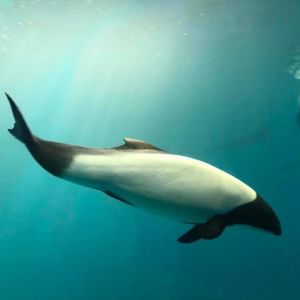 鳥羽水族館 3枚目