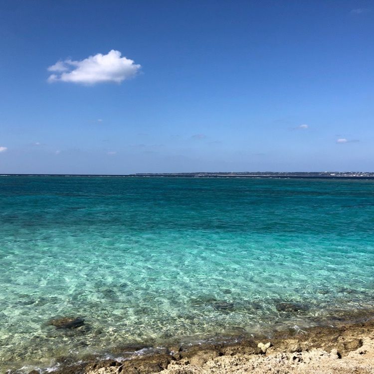 _.suga._さんが投稿した水納島パーラーに関する口コミの画像