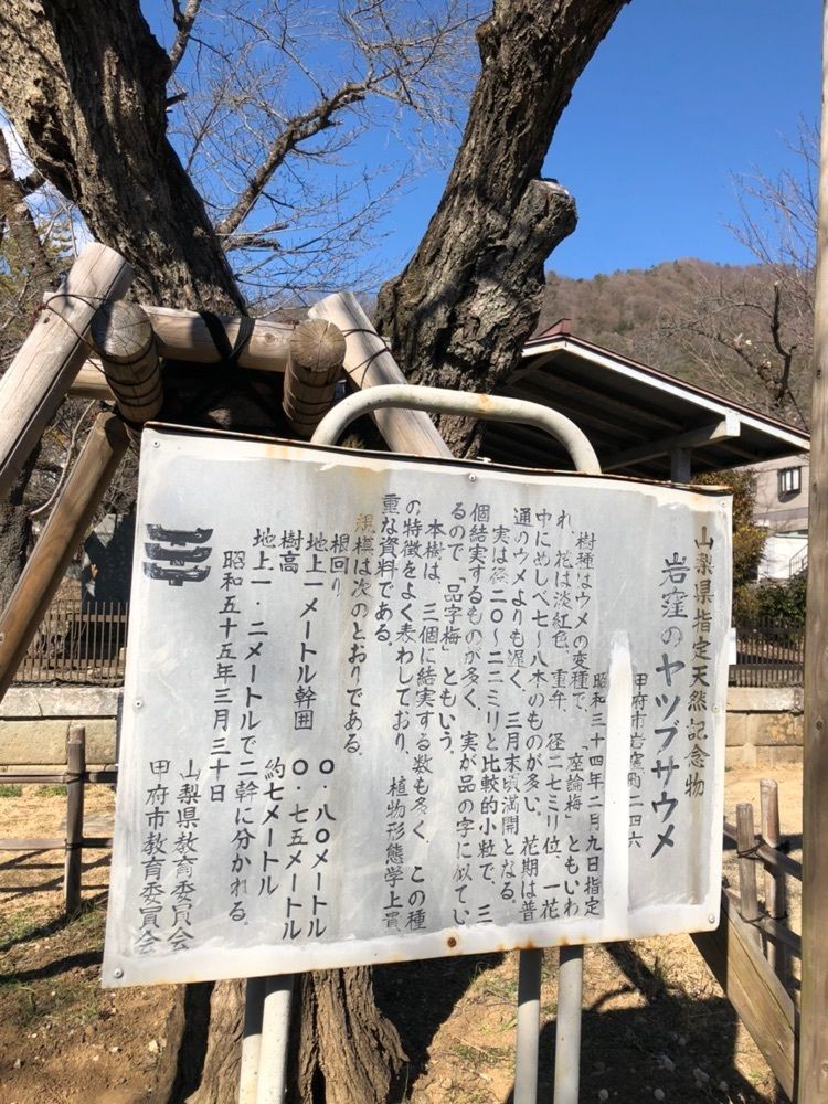 Nさんが投稿した武田信玄の墓に関する口コミの画像