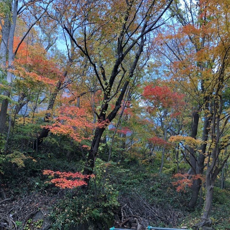 kazu&kinakoさんが投稿した壮瞥滝に関する口コミの画像