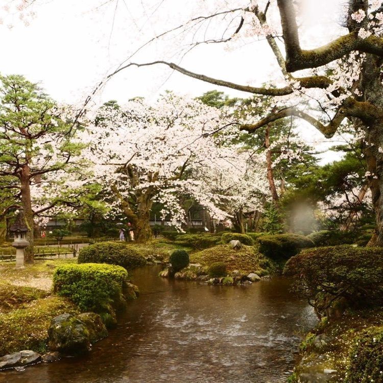 なおなおさんが投稿した眺望台(兼六園）に関する口コミの画像