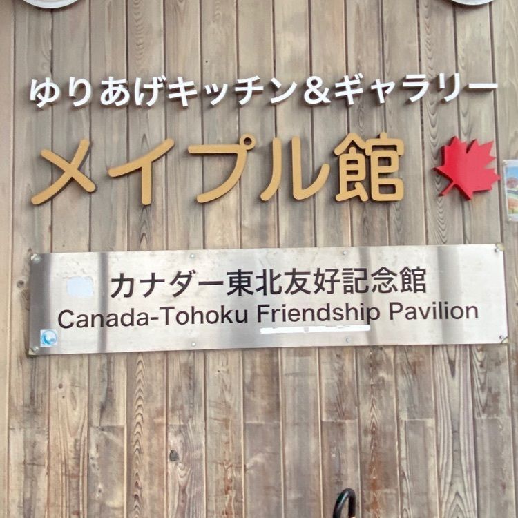 かめ_メグミさんが投稿したゆりあげ港朝市メイプル館に関する口コミの画像