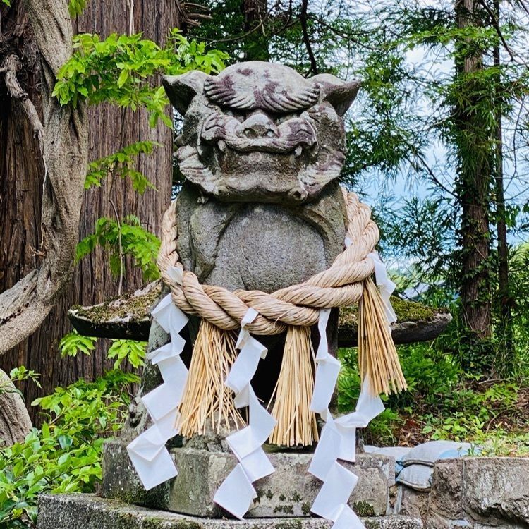 かめ_メグミさんが投稿した白鳥神社に関する口コミの画像