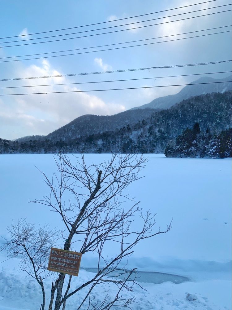 まさまさ　さまさんが投稿した奥日光 ゆの森に関する口コミの画像