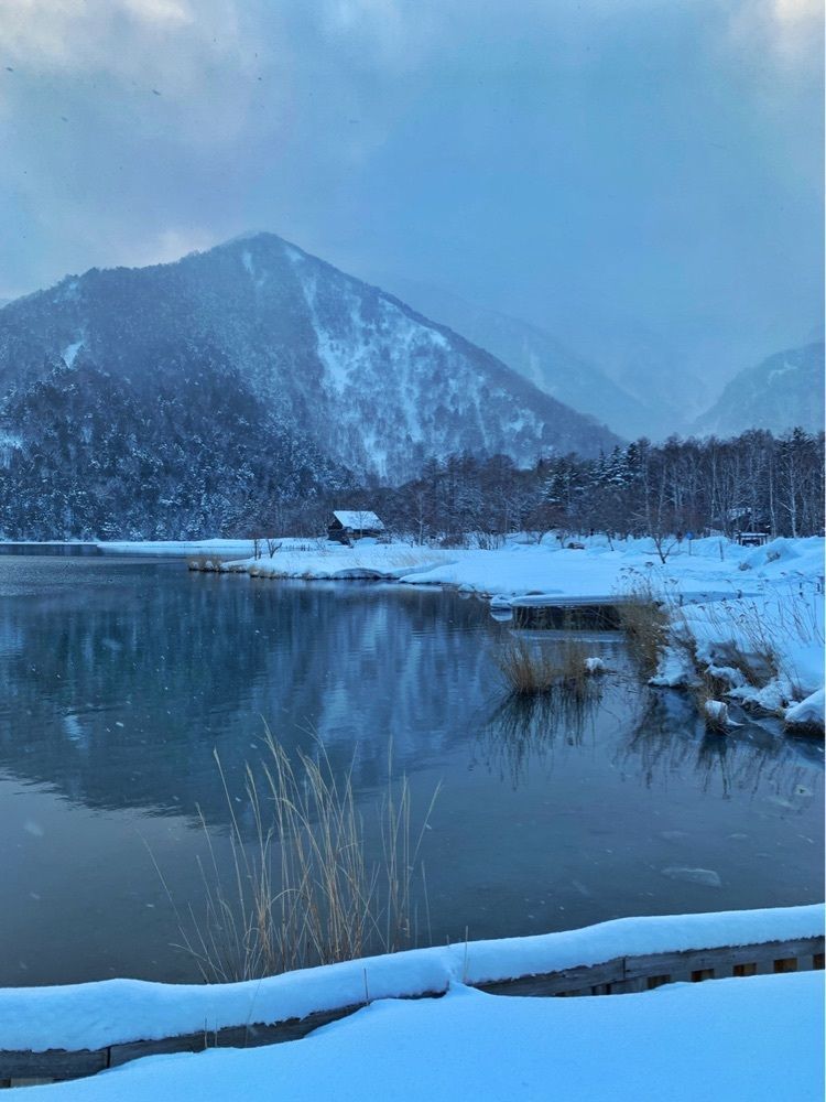 まさまさ　さまさんが投稿した奥日光 ゆの森に関する口コミの画像
