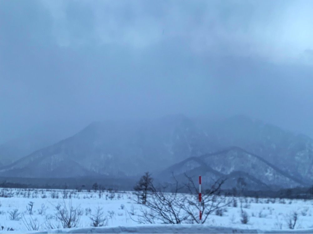 まさまさ　さまさんが投稿した奥日光 ゆの森に関する口コミの画像