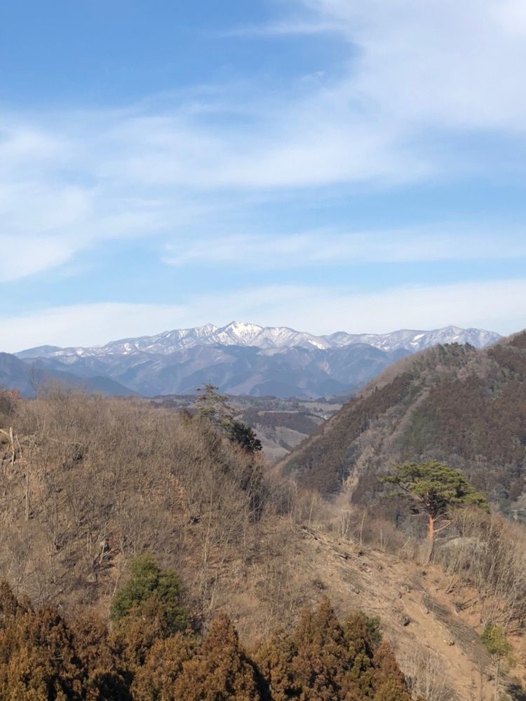 からっ風②さんが投稿した角地蔵尊お告げの湯　神梅館に関する口コミの画像