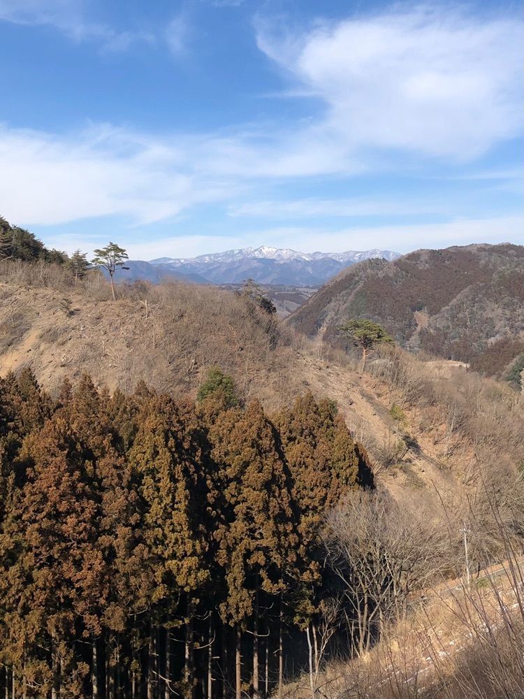 からっ風②さんが投稿した角地蔵尊お告げの湯　神梅館に関する口コミの画像