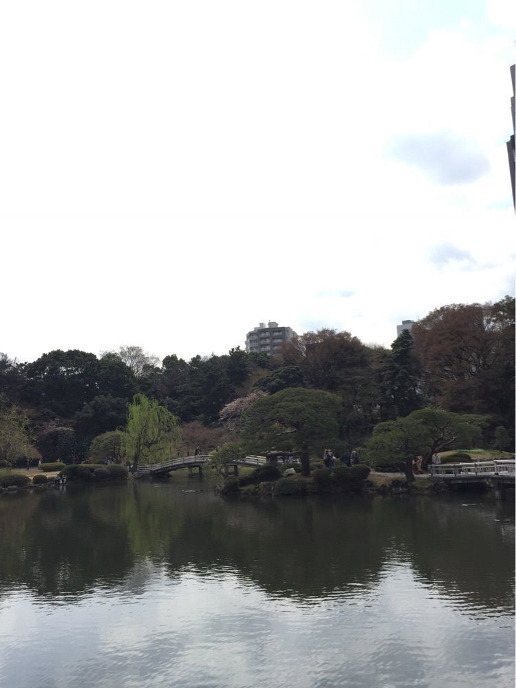 nori_orenoさんが投稿した新宿御苑に関する口コミの画像