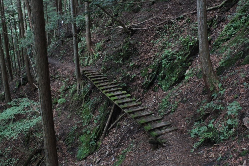 nori_orenoさんが投稿した川苔山に関する口コミの画像