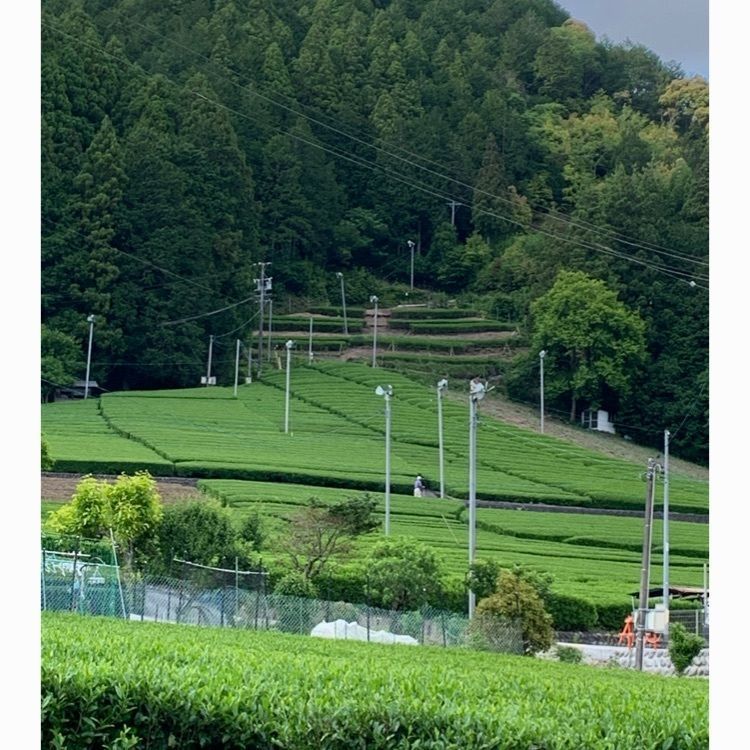 Howl Monさんが投稿した大札山に関する口コミの画像