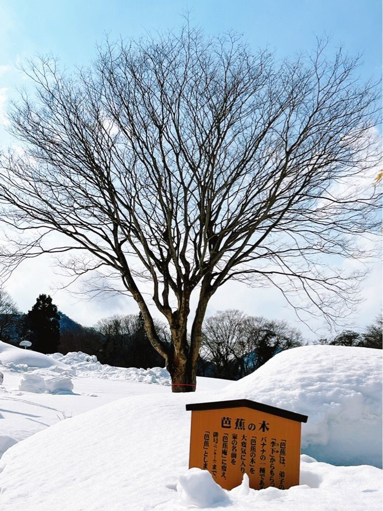 猫なぎ。さんが投稿した山寺芭蕉記念館に関する口コミの画像