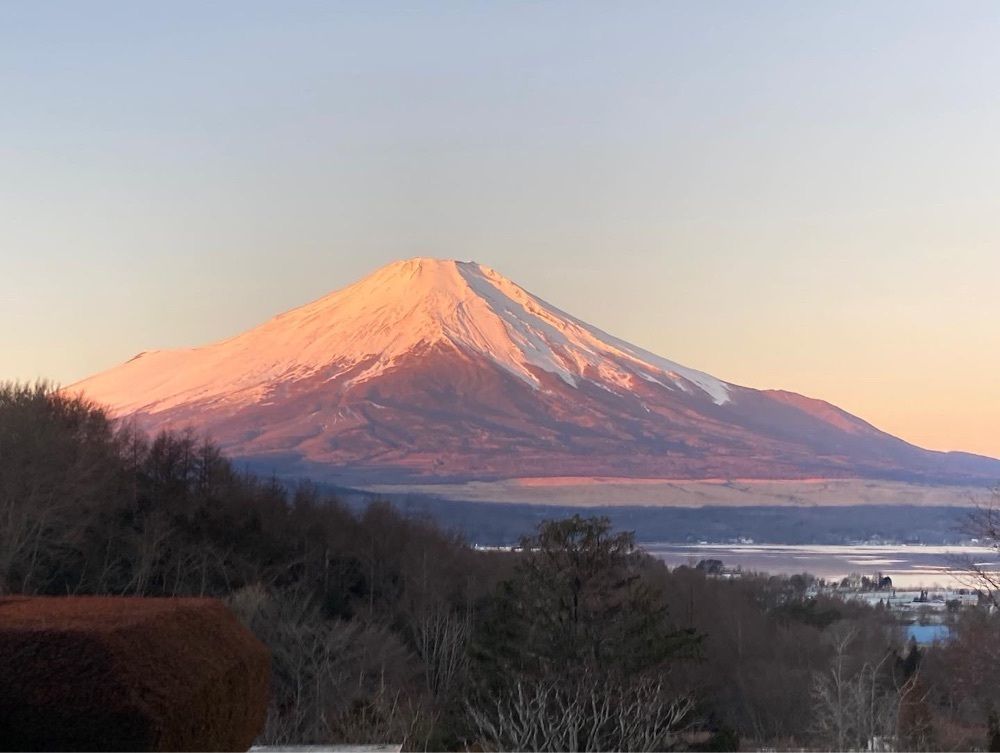 トムクルズさんが投稿した富士山ファームに関する口コミの画像