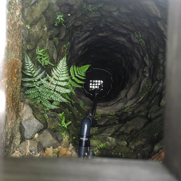 chiakiiiさんが投稿した六道珍皇寺に関する口コミの画像
