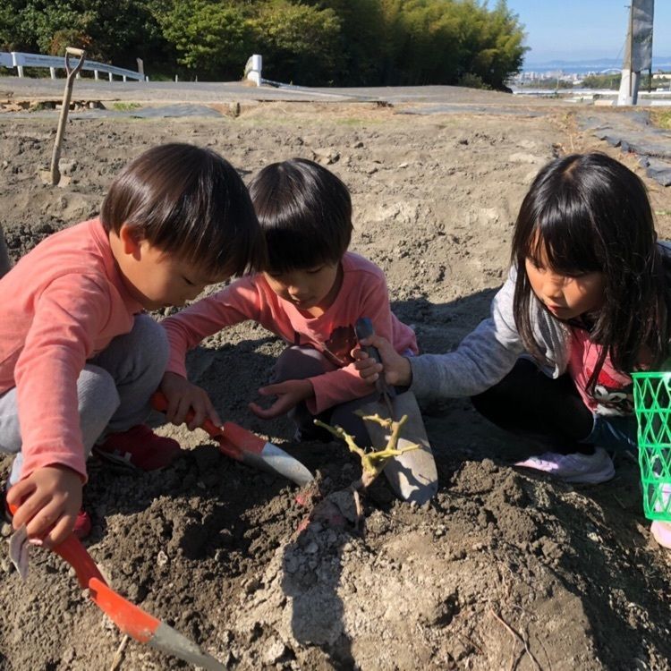 aishunryomamaさんが投稿した岸和田市に関する口コミの画像