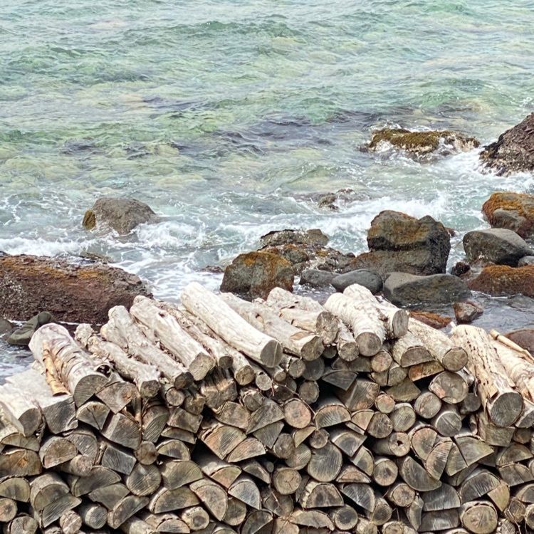 かめ_メグミさんが投稿した風間浦村に関する口コミの画像