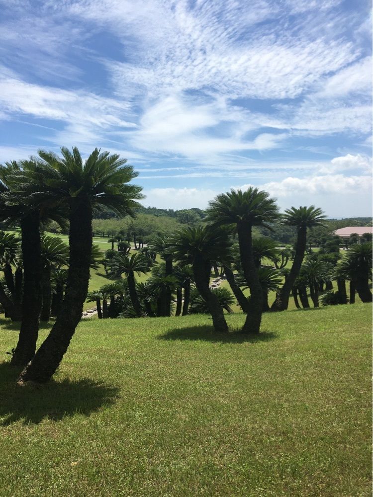 ひろちゃまさんが投稿した吉野公園（鹿児島県鹿児島市）に関する口コミの画像