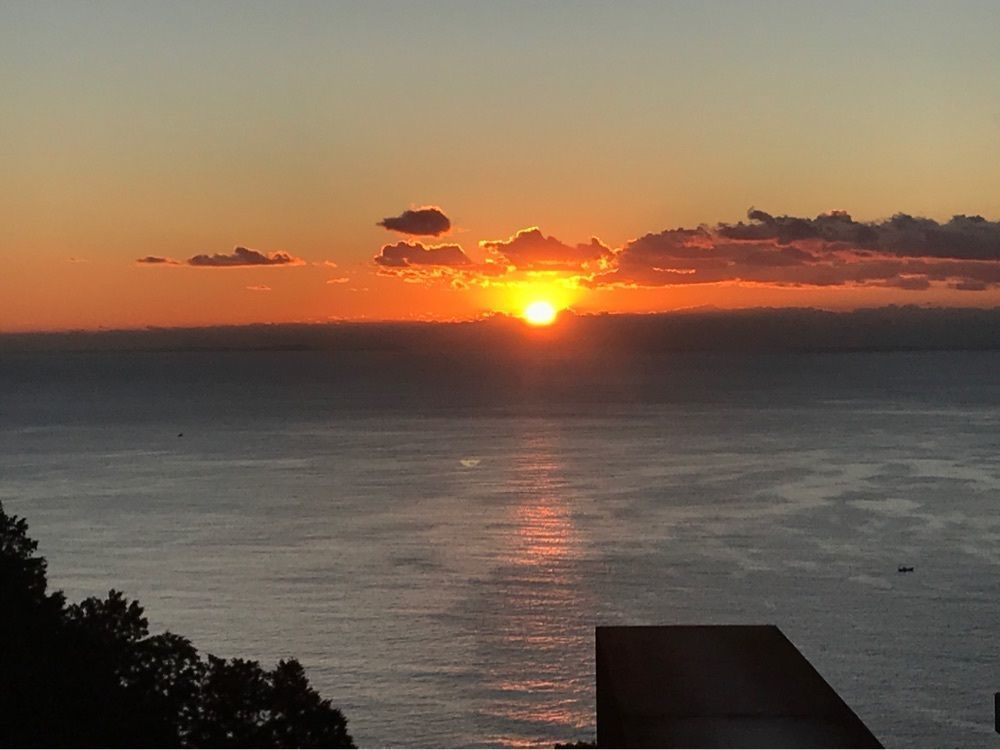トムクルズさんが投稿した江之浦測候所に関する口コミの画像