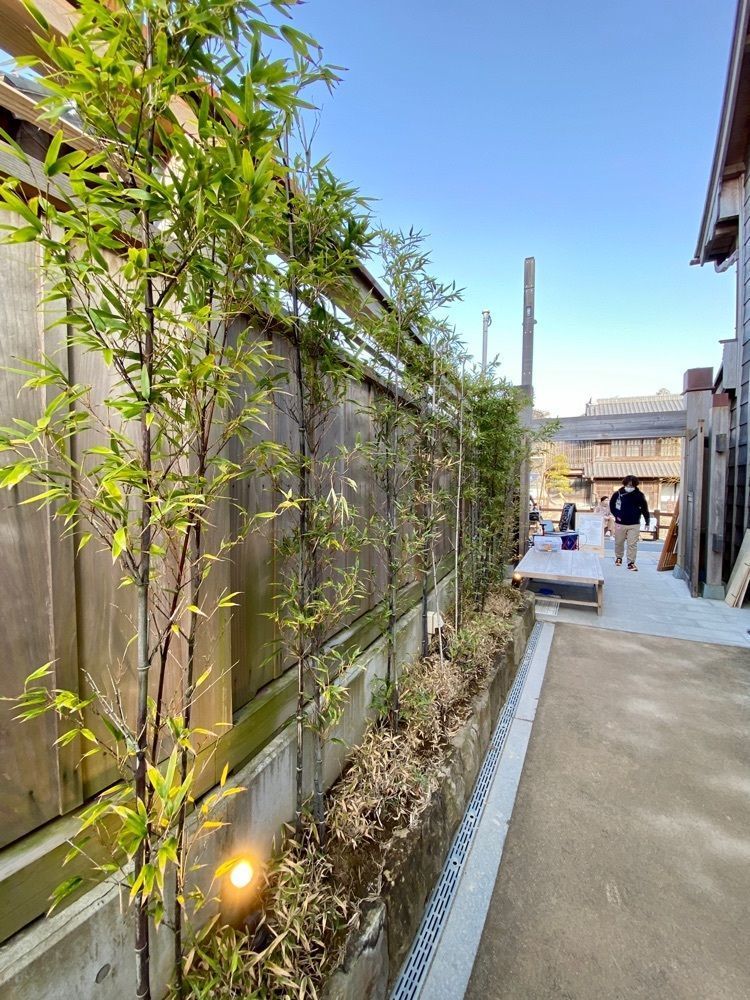 Satoshi.Nさんが投稿した佐原町並み交流館に関する口コミの画像