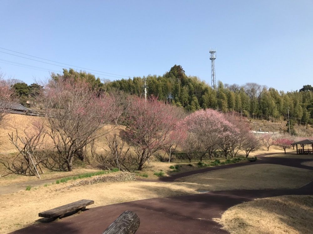 norisanさんが投稿した内原野陶芸館・ガラス工房に関する口コミの画像