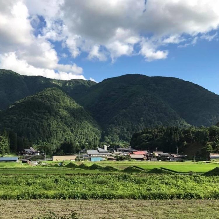 ＤＪゴン太さんが投稿した飛騨古川に関する口コミの画像