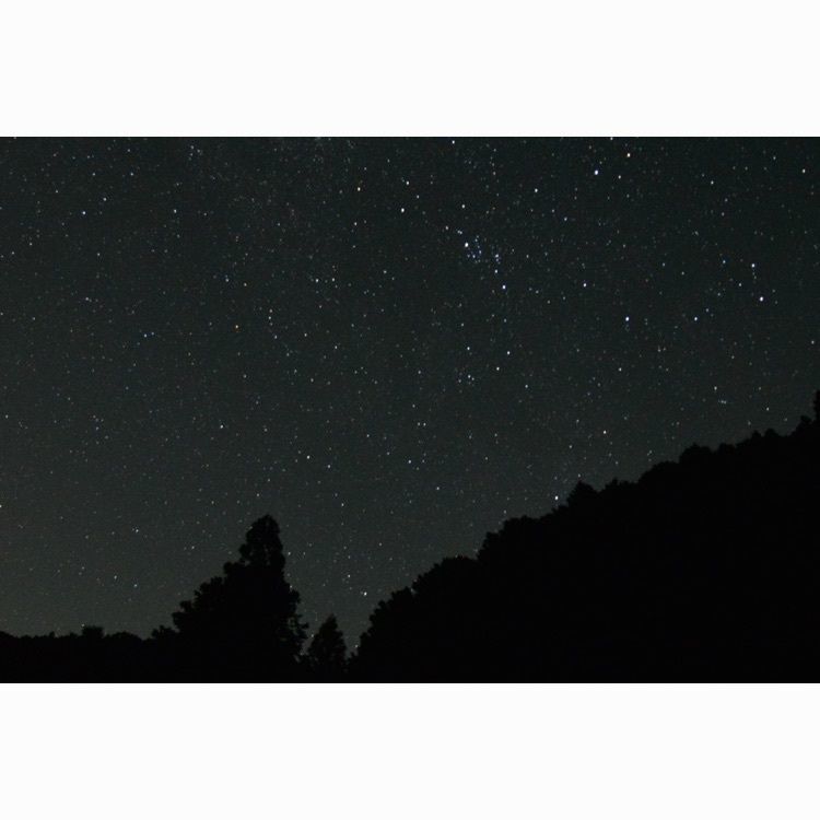 yuri_aumoさんが投稿した東吉野村運動公園に関する口コミの画像