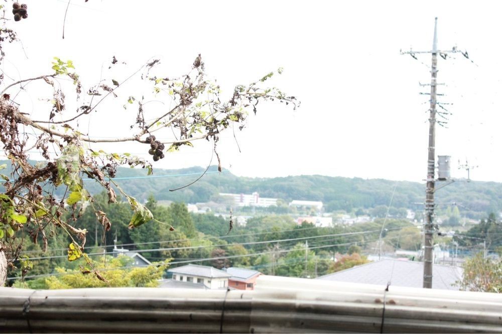nori_orenoさんが投稿したシェノワ（Chez Noix）に関する口コミの画像