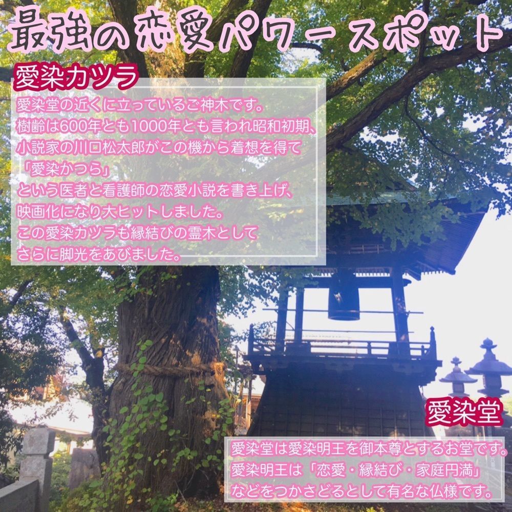 こけし@着物旅さんが投稿した北向観音に関する口コミの画像