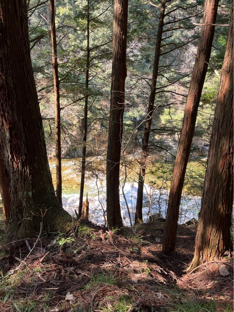 Kazushige1215さんが投稿した三段峡に関する口コミの画像