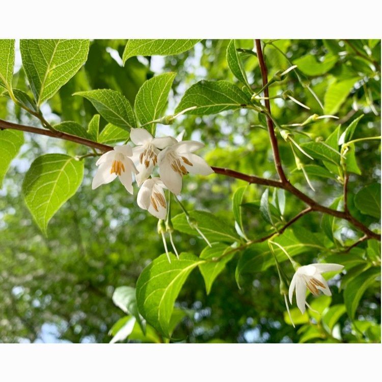 96_take4さんが投稿したえひめ森林公園に関する口コミの画像