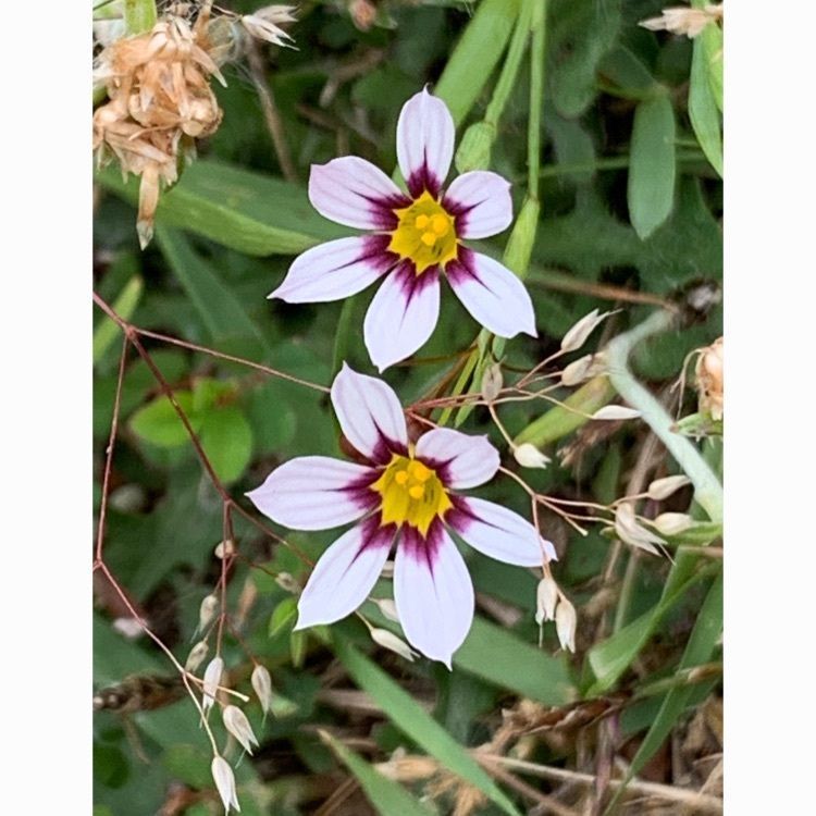 96_take4さんが投稿したえひめ森林公園に関する口コミの画像