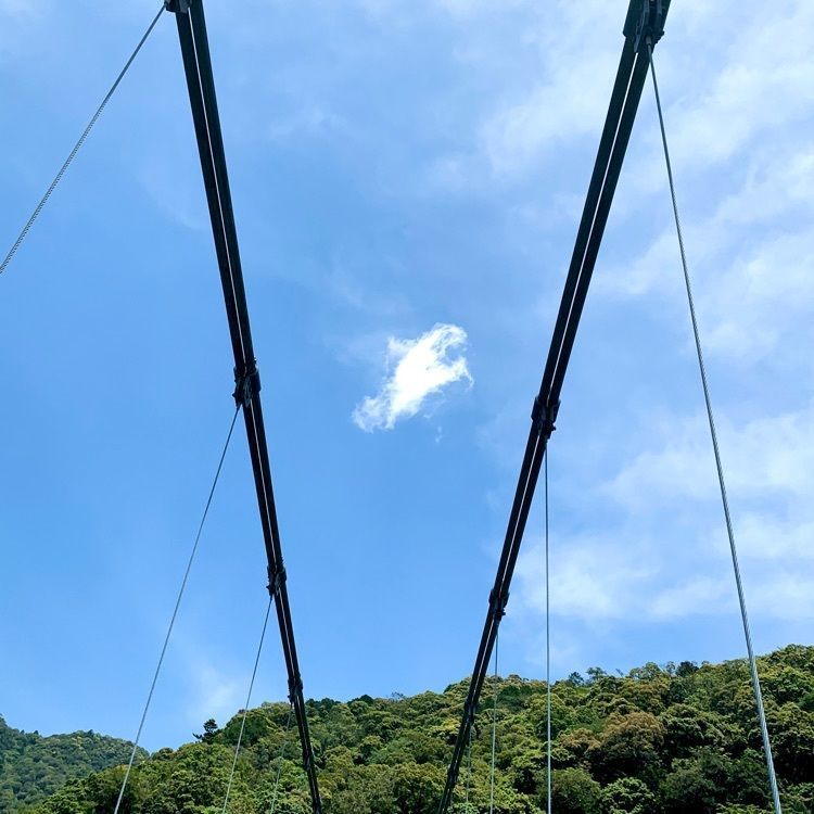 noraさんが投稿した照葉大吊橋に関する口コミの画像