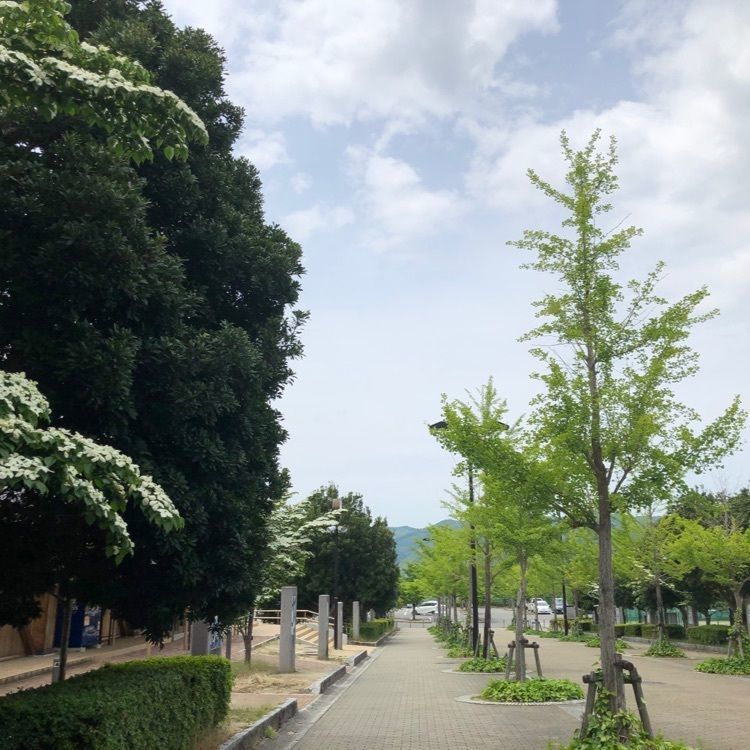 花❁⃘華  さんが投稿した砥部町陶街道ゆとり公園に関する口コミの画像