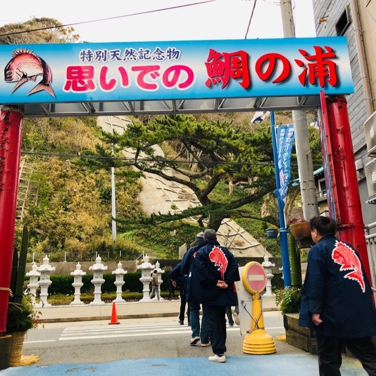 miiさんが投稿した鯛の浦に関する口コミの画像