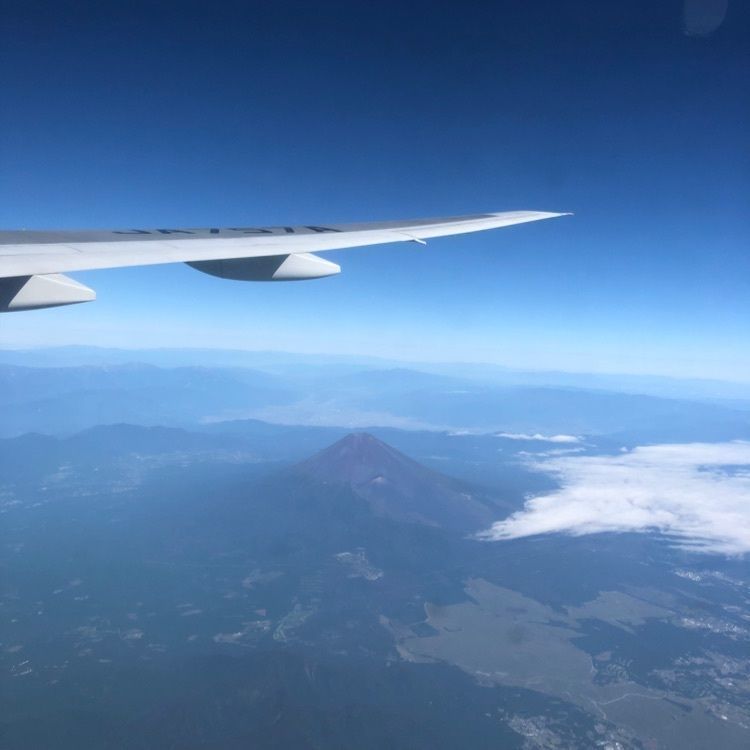 miiさんが投稿した東横INN 羽田空港2（イン）に関する口コミの画像