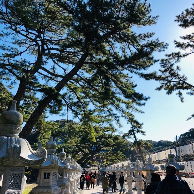 miiさんが投稿した誕生寺に関する口コミの画像