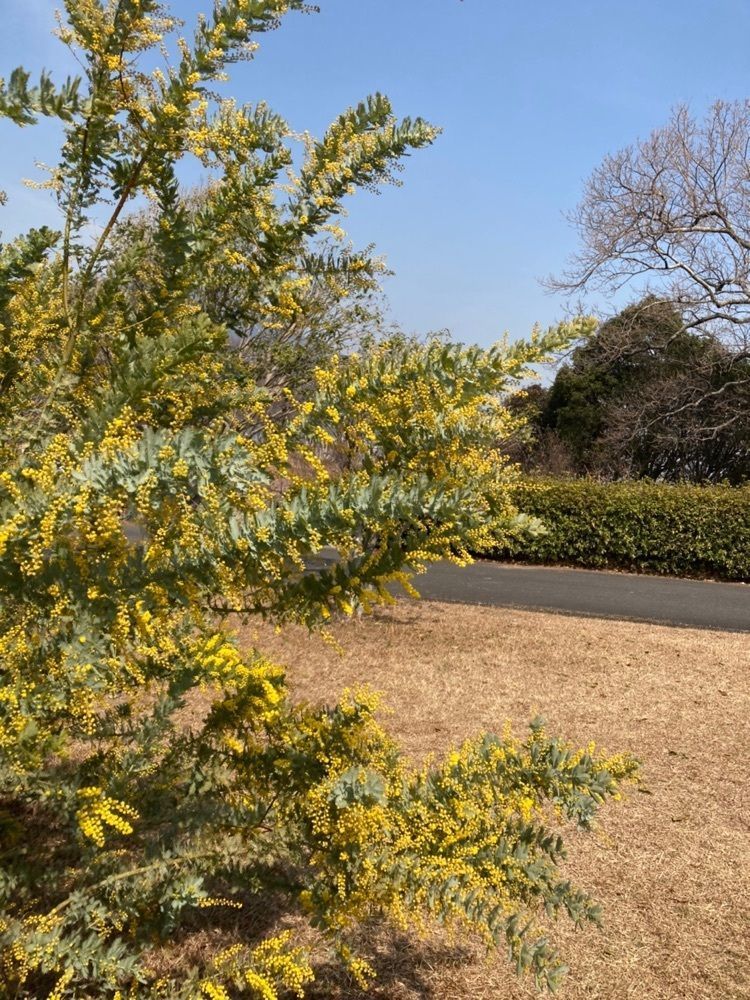 rural_village_e4eaさんが投稿した北九州市総合農事センターに関する口コミの画像